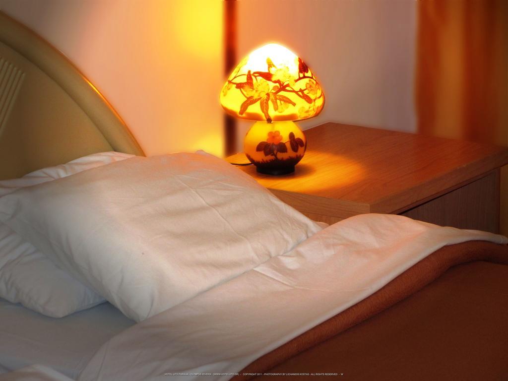 Hotel Lito Paralia Katerinis Ngoại thất bức ảnh